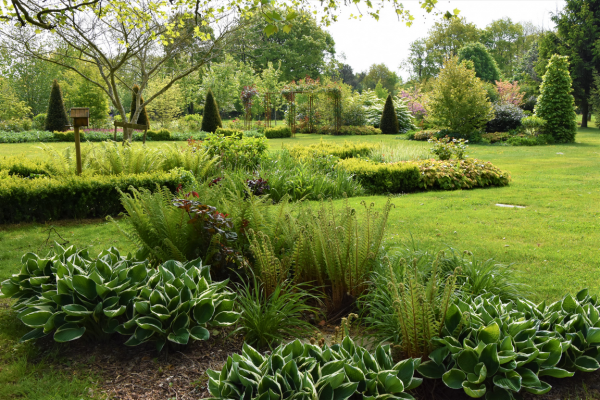 Aménagement de jardin paysager à Plescop