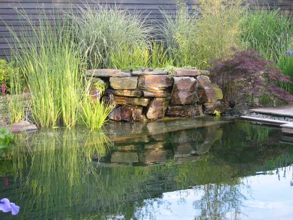 Création de jardin sur-mesure à Plescop