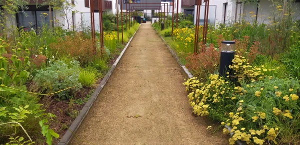 Création de jardin sur-mesure à Plescop