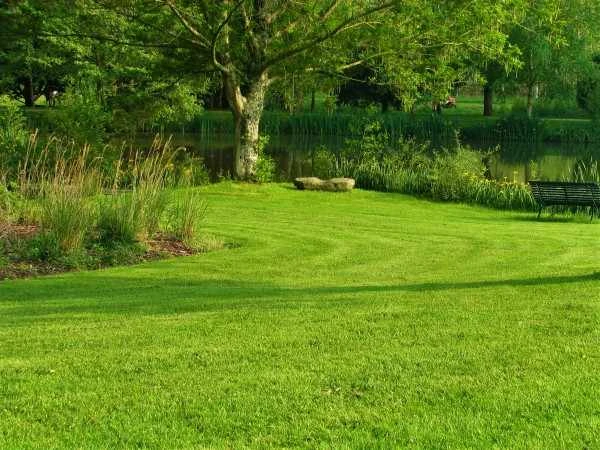 Entretien d'espaces verts à Plescop